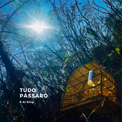 Capa do single Tudo Pássaro, 2024