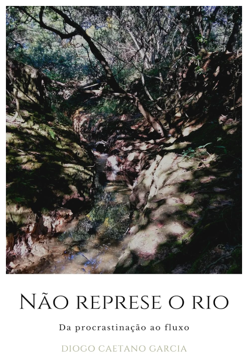 Não Represe o Rio: da Procrastinação ao Fluxo